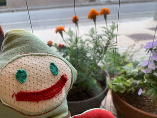 3ACA6446-BE9A-4785-A0B8-B42D5B9E0E88.jpeg