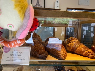 85253A97-147C-4E3C-A189-050893D535D6.jpeg