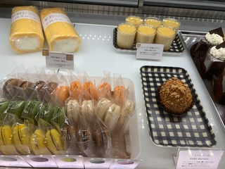 IMG_2453.jpeg