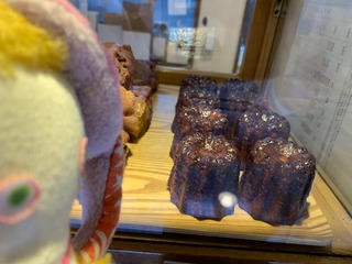 IMG_2522-4e9e7.jpeg