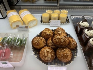 IMG_2721.jpeg