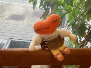 IMG_2812.jpeg