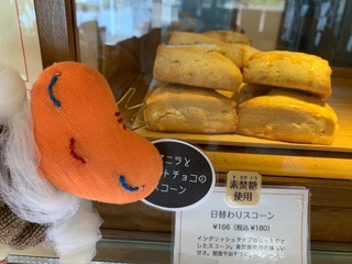 IMG_2834.jpeg