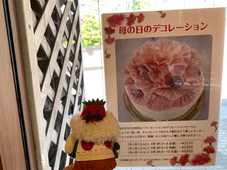 IMG_2957.jpeg