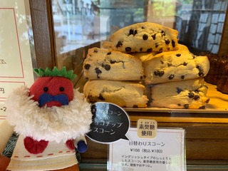 IMG_2958.jpeg