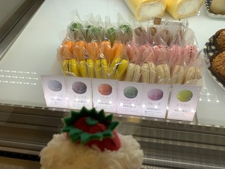 IMG_2966.jpeg