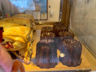 IMG_3034.jpeg