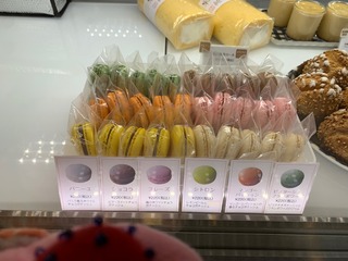 IMG_3041.jpeg