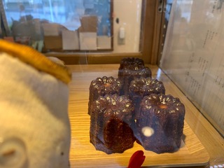 IMG_3102.jpeg