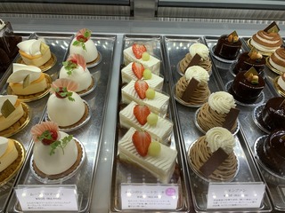 IMG_3106.jpeg