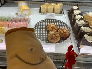 IMG_3108.jpeg