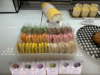 IMG_3109.jpeg