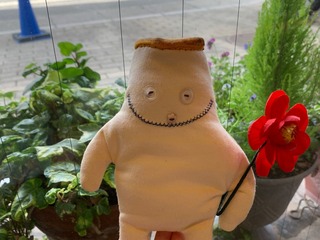IMG_3112.jpeg