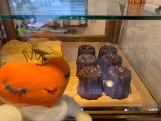 IMG_3157.jpeg