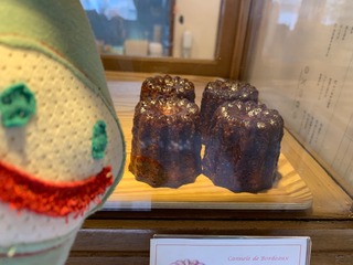IMG_3185.jpeg