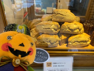 IMG_3282.jpeg